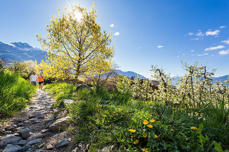 Spaziergang im Frühling