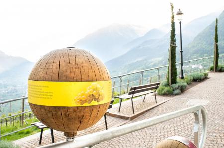 Wein Weg in Dorf Tirol Wein Weg in Dorf Tirol